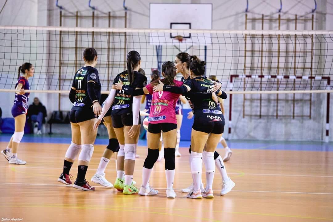 KoiraVolley
